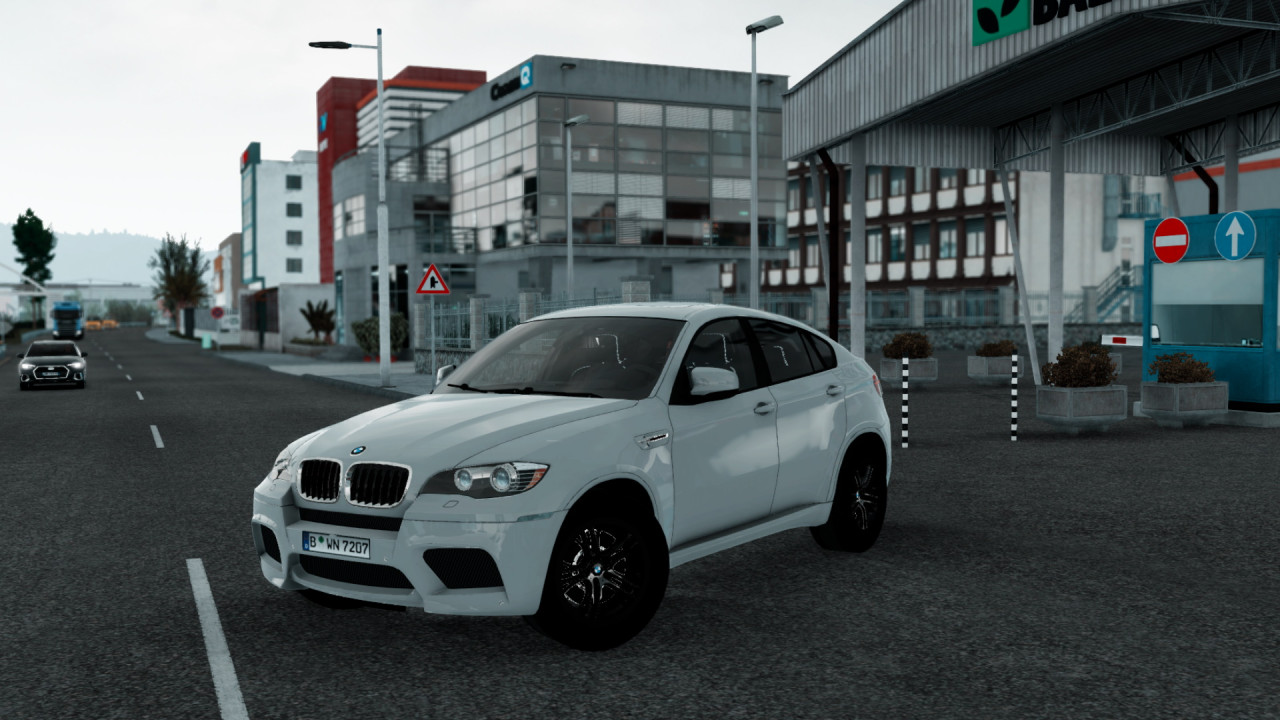 BMW X6 M 2010